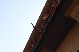 IMG_0800