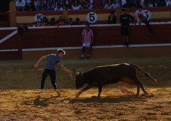 IMG_1823