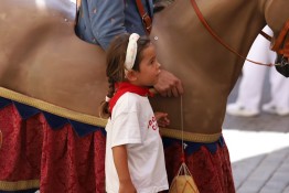 IMG_1905