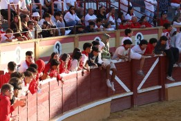 IMG_1661