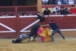IMG_1791